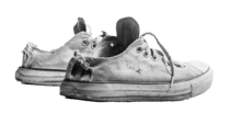 Tenis