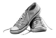 Tenis